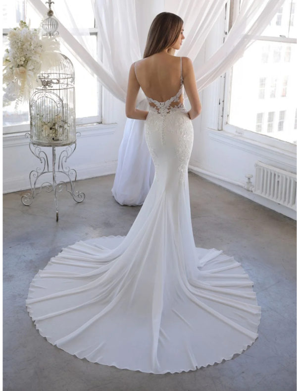 Enzoani Blue - Ornina - Back of Dress