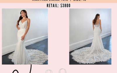 New Sale Gown: Martina Liana 1416